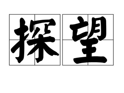 探望的意思|探望 的意思、解釋、用法、例句